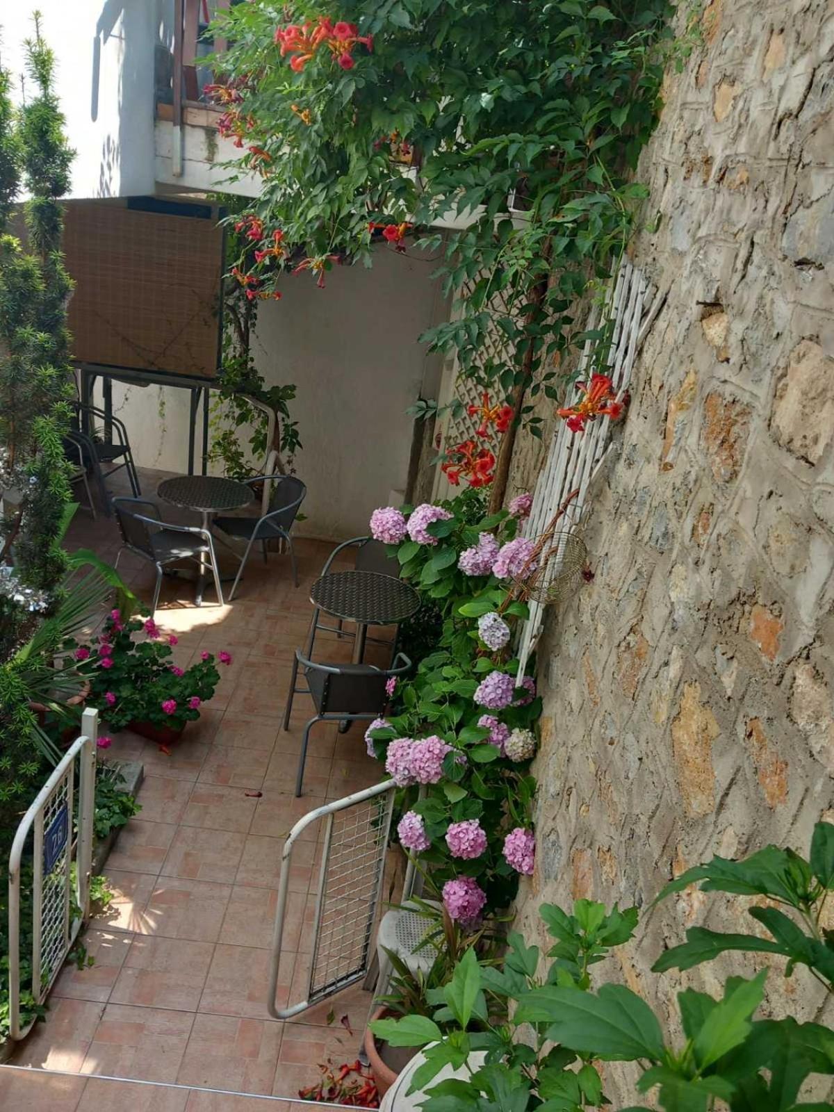 Vila Kosta City Center Port Ohrid Eksteriør billede