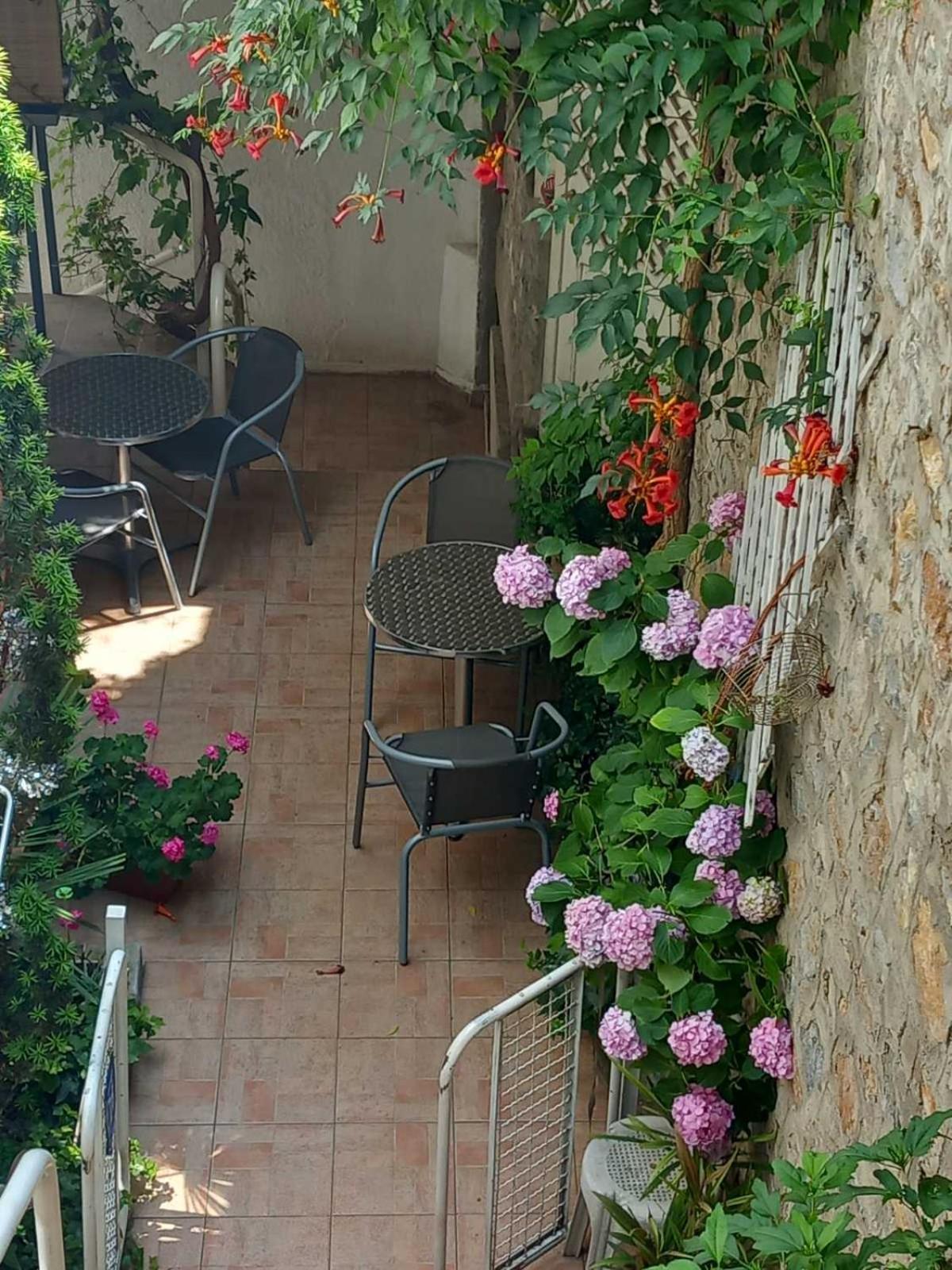 Vila Kosta City Center Port Ohrid Eksteriør billede