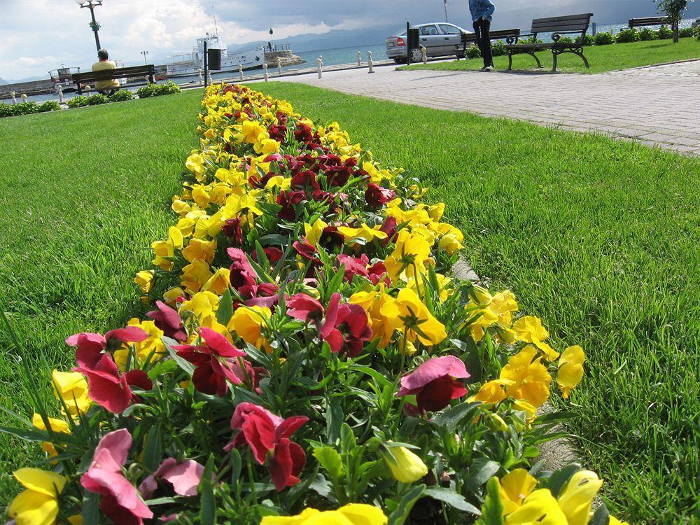 Vila Kosta City Center Port Ohrid Eksteriør billede